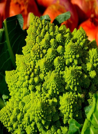 Cauliflower - Minaret - Unusual Seeds - pzsku/Z7A60FDA2B657DEAF4F2AZ/45/1746413093/6271ef16-07d8-40c1-9d1c-8bb838564b13