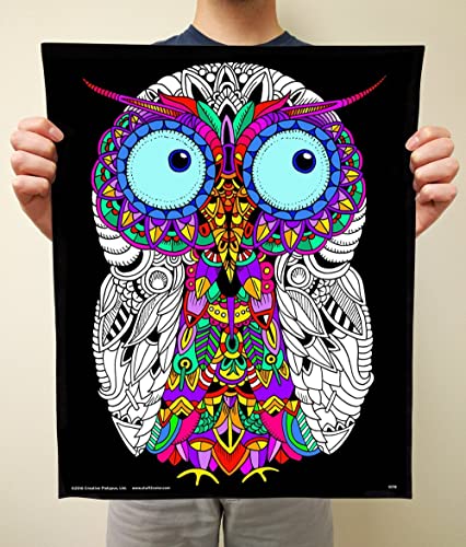 Stuff2Color Baby Owl - Fuzzy Coloring Poster for Kids, Toddlers, Kids, Teens and Adults [Beautiful Arts and Crafts Project for All Ages] Arrives Uncolored - Image 4