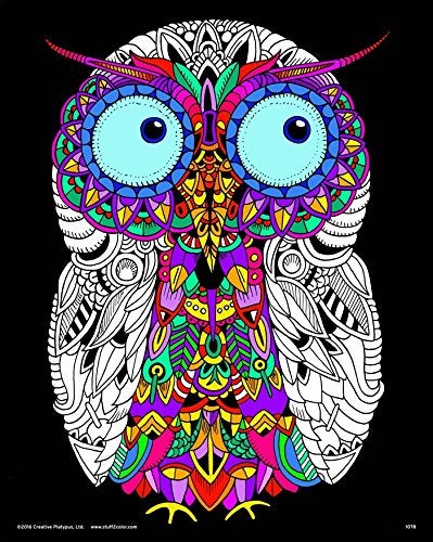 Stuff2Color Baby Owl - Fuzzy Coloring Poster for Kids, Toddlers, Kids, Teens and Adults [Beautiful Arts and Crafts Project for All Ages] Arrives Uncolored - Image 1