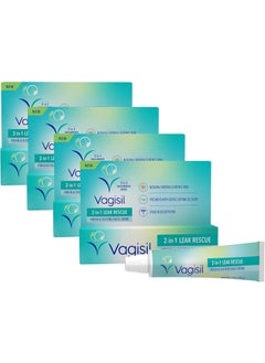 Vagisil Vagisil 2-in-1 Leak Rescue Intimate Feminine Cream for Women, Gynecologist Tested & Hypoallergenic, 1 oz (Pack of 4) 