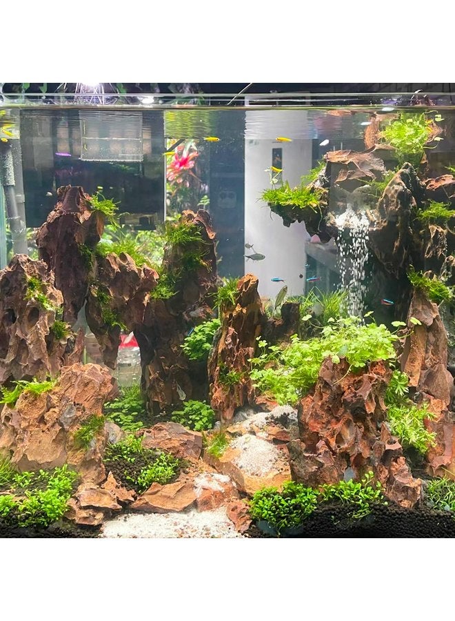 صخور حجر التنين من 2 إلى 4 بوصات، مناسبة للحدائق المصغرة أو الجنية، وأحواض السمك، والسكك الحديدية النموذجية، وألعاب الحرب، وديكورات الدبابات، وقواقع البرمائيات (5 رطل) - Image 4