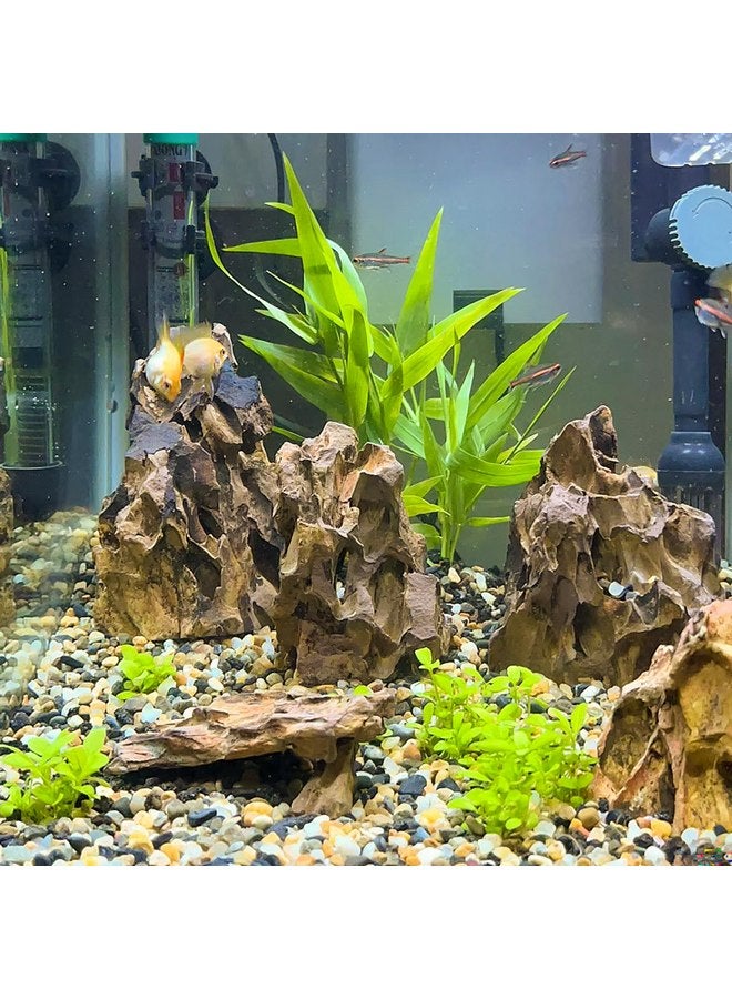 صخور حجر التنين من 2 إلى 4 بوصات، مناسبة للحدائق المصغرة أو الجنية، وأحواض السمك، والسكك الحديدية النموذجية، وألعاب الحرب، وديكورات الدبابات، وقواقع البرمائيات (5 رطل) - Image 3