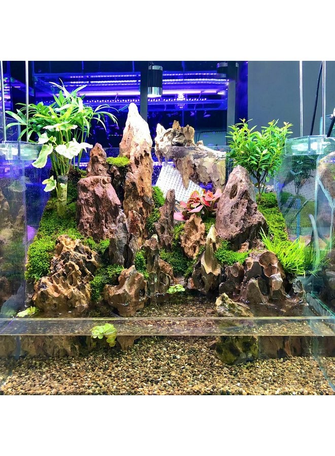 صخور حجر التنين من 2 إلى 4 بوصات، مناسبة للحدائق المصغرة أو الجنية، وأحواض السمك، والسكك الحديدية النموذجية، وألعاب الحرب، وديكورات الدبابات، وقواقع البرمائيات (5 رطل) - Image 2