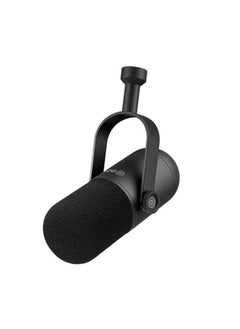 BY-DM500 Dynamic Broadcasting Microphone