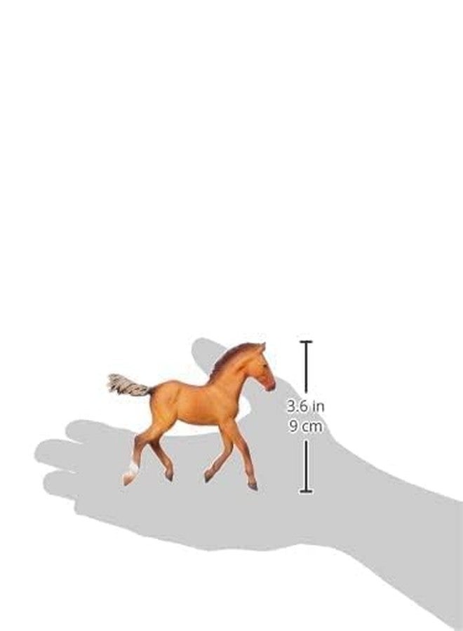 CollectA Horse Life Hanoverian Bay Foal Toy Figure - Image 2