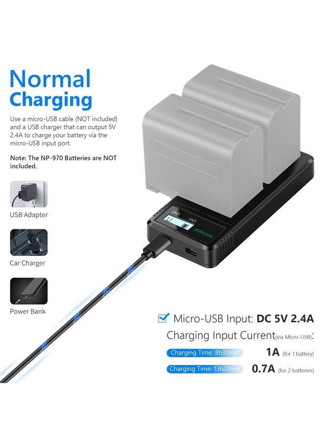 Neewer Dual USB Charger Compatible with Sony NP-F970 NP-F960 NP-F950 NP-F930 NP-F770 NP-F750 NP-F570 NP-F550 Camera Battery, Fast Battery Charger with LCD Display,Versatile Charging Options - Image 3