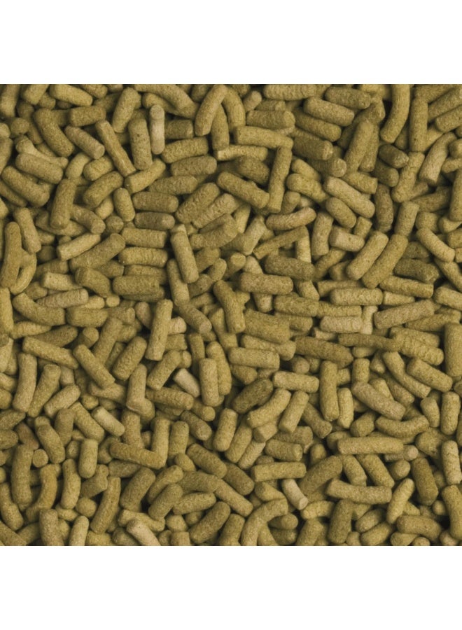 Tropical TROPICAL BIOREPT L.100ML/28G  - Image 2