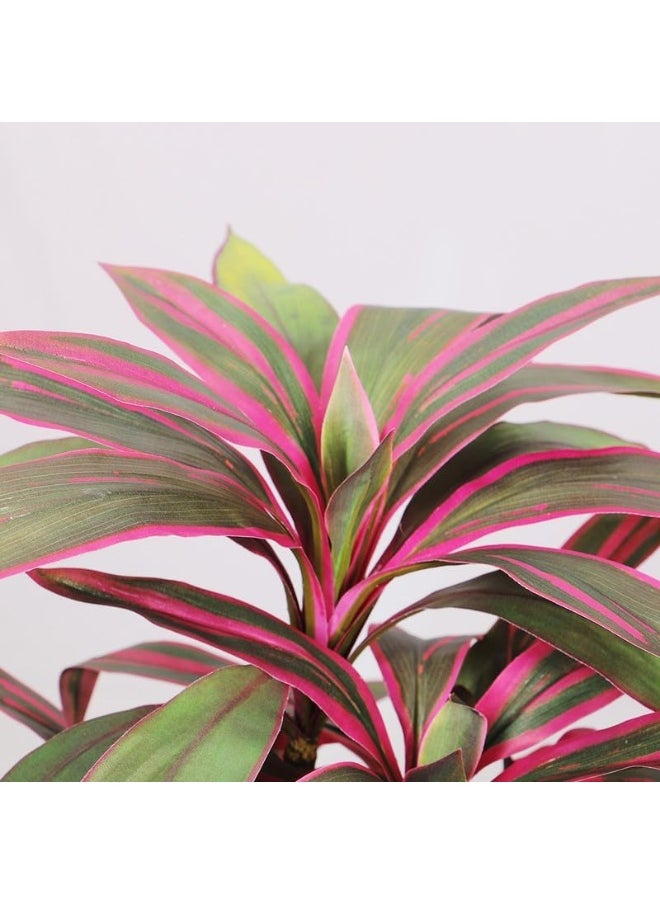 Generic Nearly Natural Real Touch Artificial Cordyline-Fruticosa-Excelsa-Plant 70X70X90 Cm Green-Brown  - Image 3