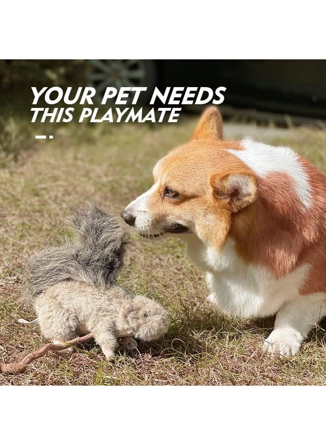 all for paws Squeaky Dog Toys,Animal Plush Dog Toy,Stuffed Dog Toys,Puppy Toys For Teething Small Dogs - Image 4