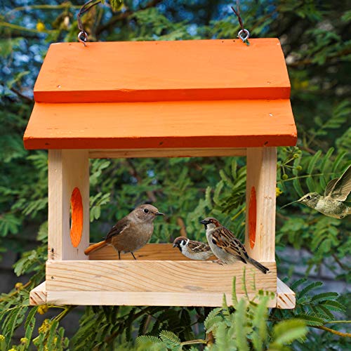 Cket® Bird Feeder House Nest Box Breeding House for Sparrow, Budgies and Finches Eco Friendly Pure Wooden Water Resistance for Garden Balcony Hanging BF03 - Image 4