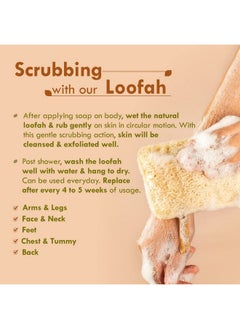 Nat Habit - Back To Natural Secrets Everyday Natural Sun Dried Bath Loofah | Body Sponge & Scrubber For Men & Women | Organic Luffa For Bath Shower Skin Exfoliation (Pack Of 4)  - Image 4
