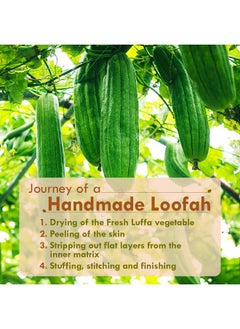 Nat Habit - Back To Natural Secrets Everyday Natural Sun Dried Bath Loofah | Body Sponge & Scrubber For Men & Women | Organic Luffa For Bath Shower Skin Exfoliation (Pack Of 4)  - Image 5