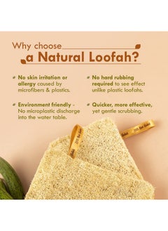 Nat Habit - Back To Natural Secrets Everyday Natural Sun Dried Bath Loofah | Body Sponge & Scrubber For Men & Women | Organic Luffa For Bath Shower Skin Exfoliation (Pack Of 4)  - Image 3