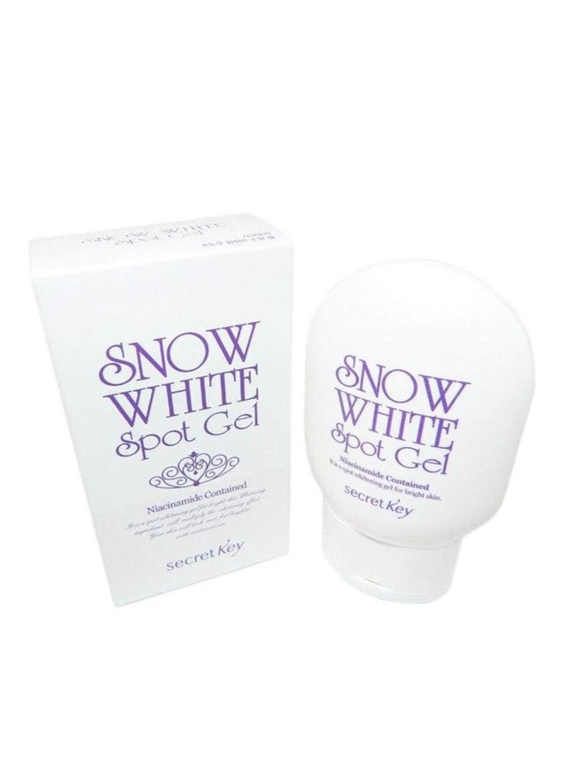 Snow White Secret Key Snow White Spot Gel - 65g - Image 2