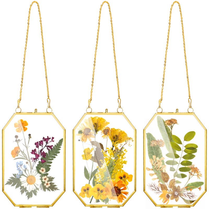 AVLA 3 Pack Pressed Flowers Glass Frames, Small Brass Floating Frame with Chain, Golden Hanging Picture Frame, Clear DIY Handmade Home Wall Decor for Displaying Artwork Dried Plant Specimen - Image 1