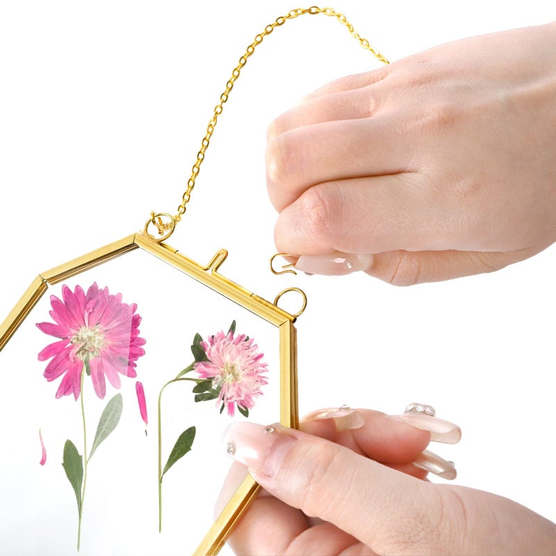 AVLA 3 Pack Pressed Flowers Glass Frames, Small Brass Floating Frame with Chain, Golden Hanging Picture Frame, Clear DIY Handmade Home Wall Decor for Displaying Artwork Dried Plant Specimen - Image 5