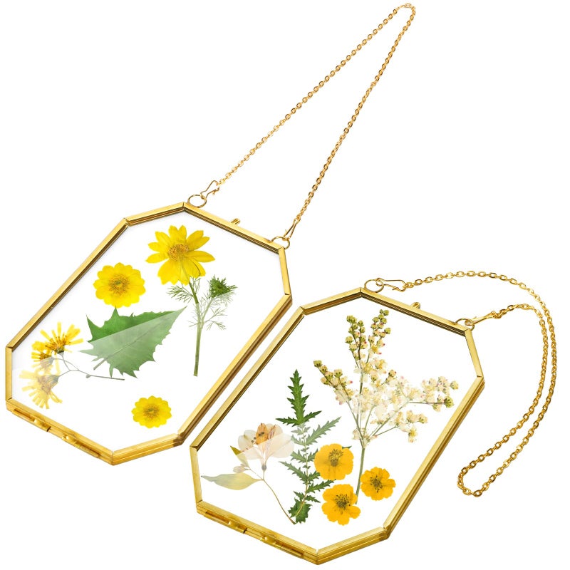AVLA 3 Pack Pressed Flowers Glass Frames, Small Brass Floating Frame with Chain, Golden Hanging Picture Frame, Clear DIY Handmade Home Wall Decor for Displaying Artwork Dried Plant Specimen - Image 3