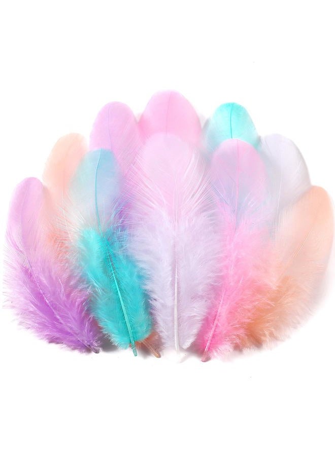 Soarer 300pcs Macaron Rooster Feathers Bulk - 3-5inch Craft Feathers for Wedding Home Party, Dream Catcher Supplies and DIY Crafts(Macaron) - Image 1