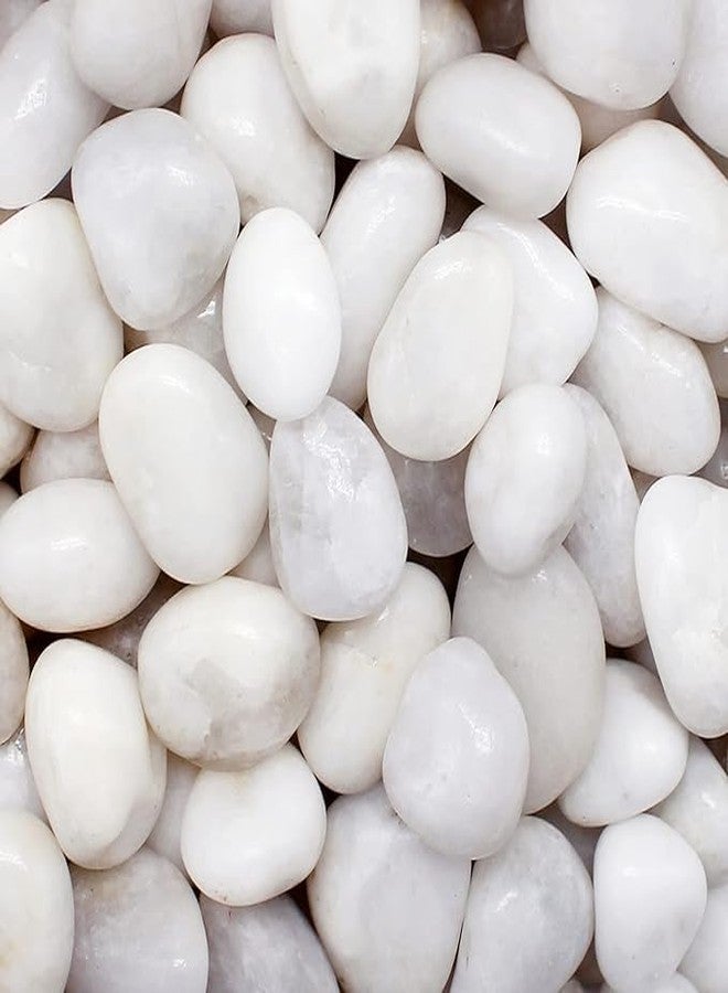 Wowtag 1.95 kg White and Brown Polished Pebbles, 2-4 CM, Vase fillers, Decorative Stone for Plants, Aquarium, Garden - Image 5