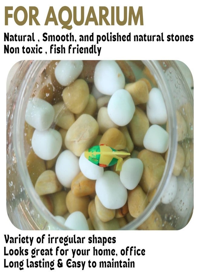 Wowtag 1.95 kg White and Brown Polished Pebbles, 2-4 CM, Vase fillers, Decorative Stone for Plants, Aquarium, Garden - Image 3