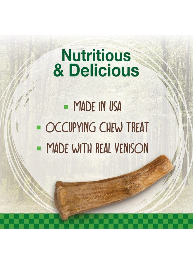 Nylabone Healthy Edibles WILD Antler Natural Long Lasting Venison Flavor Dog Chew Treats Medium/Wolf (2 Count) - Image 2