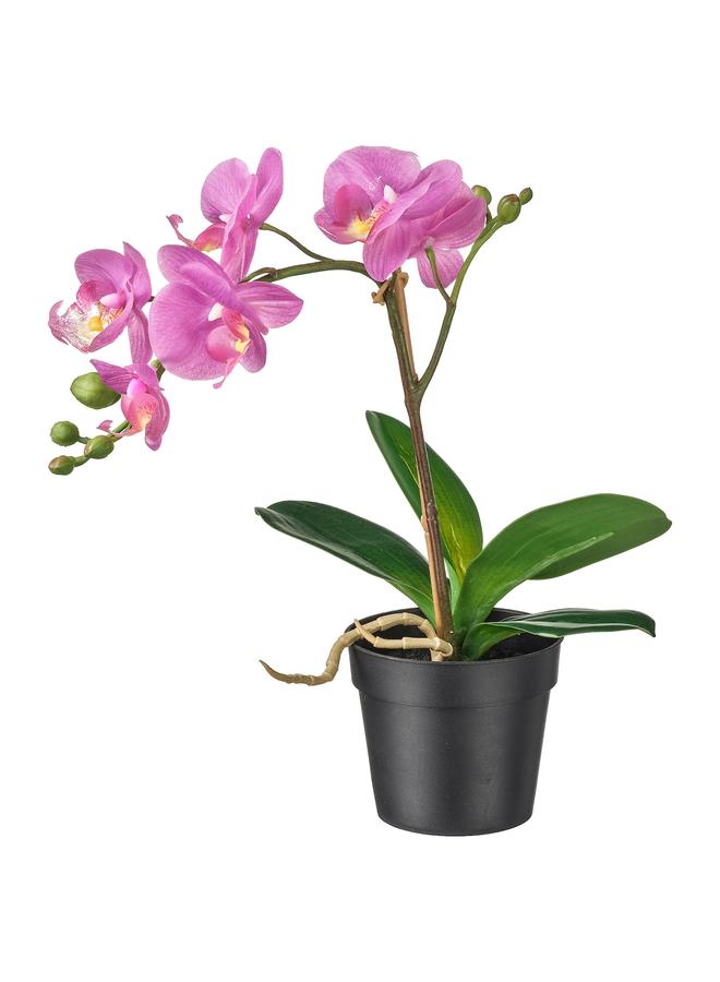 Zaboon Artificial Potted Plant, Orchid Lilac, 9 Cm - Image 1