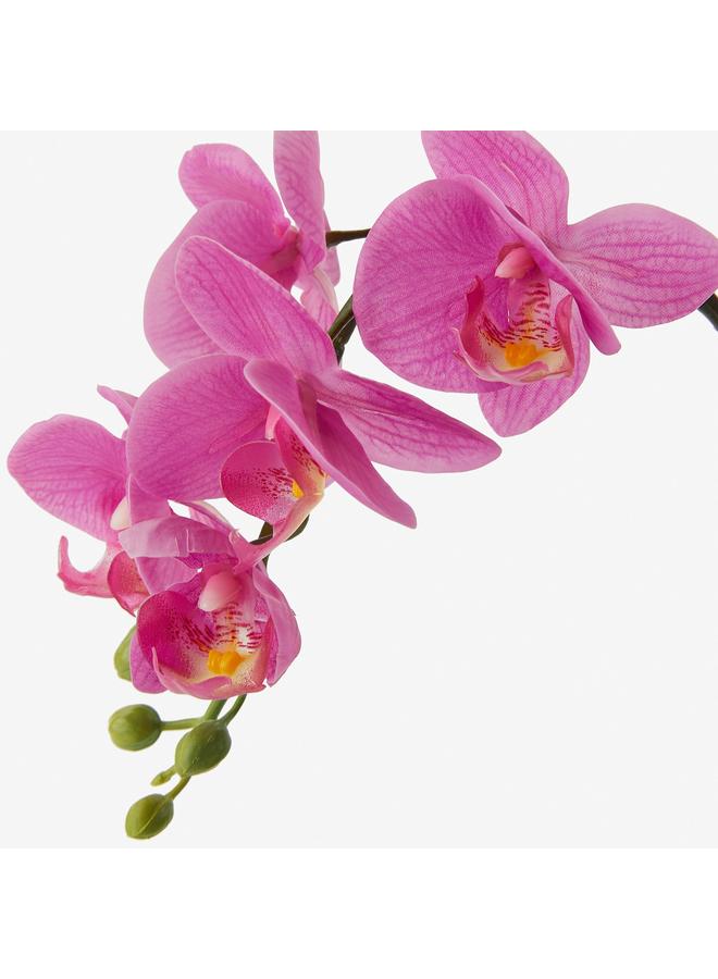 Zaboon Artificial Potted Plant, Orchid Lilac, 9 Cm - Image 3