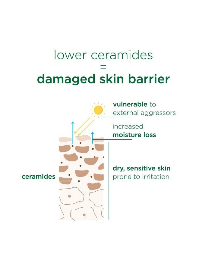 simple O Simple Active Skin Barrier Care Soothing Water Crème 40G | With 15% Skin Conditioners & Organic Aloe Vera |Soothes Skin, Supports Skin Barrier Health - Image 4