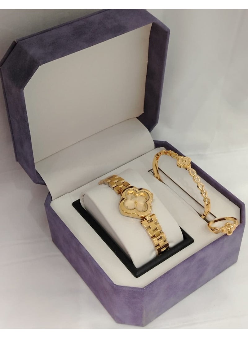 Rivoli Elegant women's watch and bracelet set, high quality stainless steel