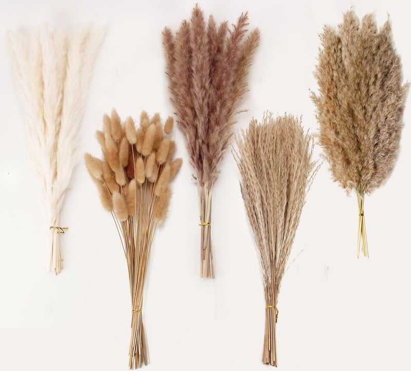 Natural Dried Pampas Grass Decor 110 PCS Pampas Grass Contains White Bunny Tails Dried Flowers Artificial Flowers for Bathroom Decor Bathroom Wall Decor Office Decor and Baby Shower Decorations