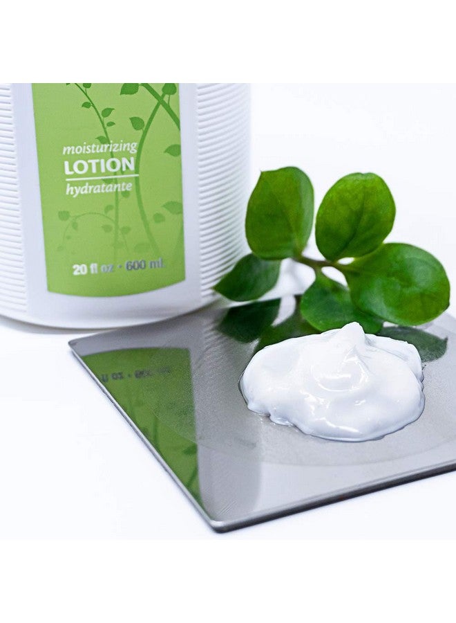 Vitabath Original Spring Green Moisturizing Body Lotion Replenishing Botanicals Aloe & Shea Butter Deeply Hydrate Dry Skin Revive For Women & Men Crueltyfree Parabenfree 20 Oz - Image 3