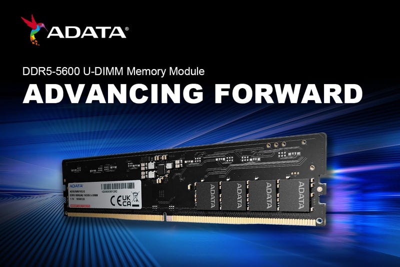 ADATA Premier 16GB DDR5 5600MHz Desktop RAM, Dual-Channel Module, Supports Intel & AMD Latest CPU, Intel XMP & AMD Expo, Built in PMIC, On Die ECC, Low Voltage, More Bandwidth - AD5U560016G-S - Image 2