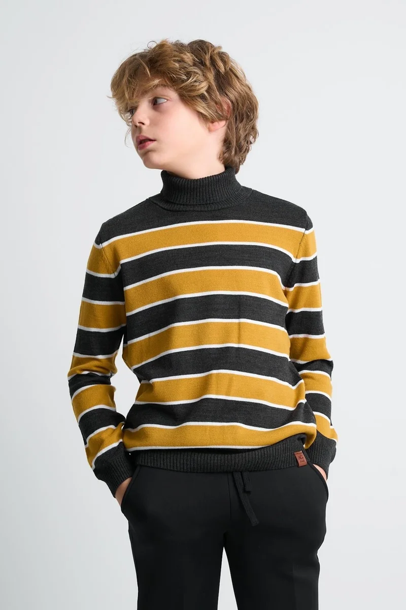 Alexander Gardi Kids Turtleneck Striped Sweater (C21-1874900)