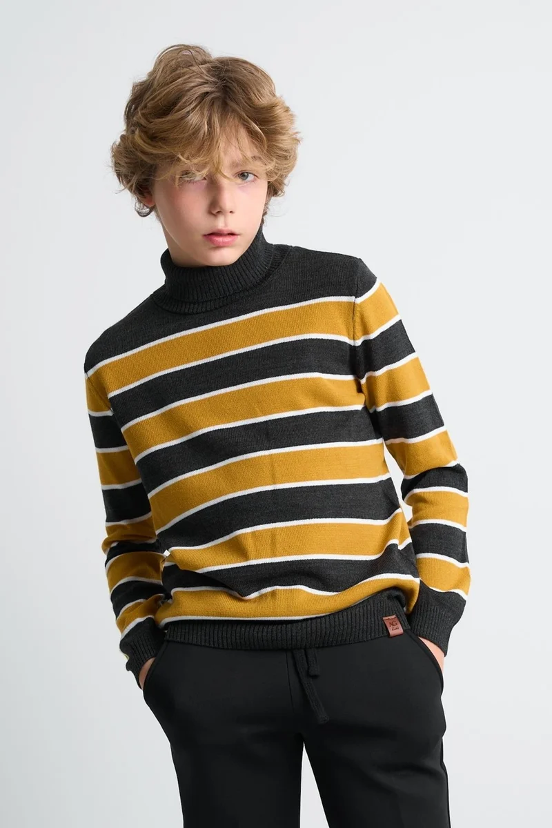 Alexander Gardi Kids Turtleneck Striped Sweater (C21-1874900)