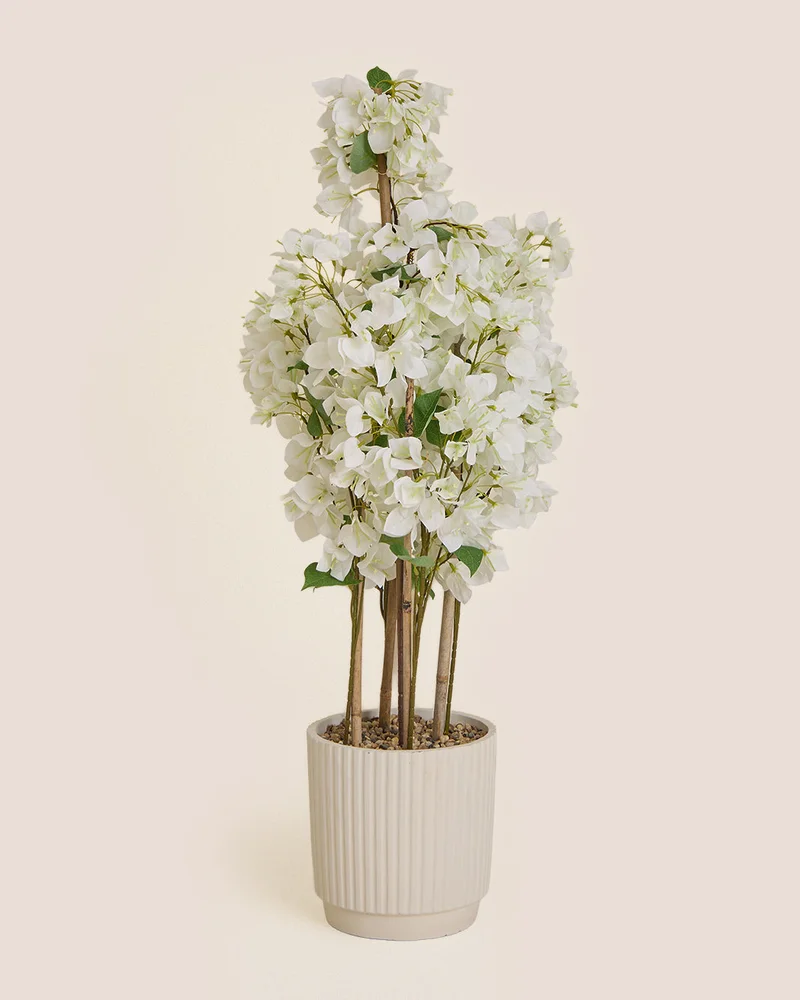 REDTAG Artificial Bougainvillea Tree In Ceramic Pot 115cm