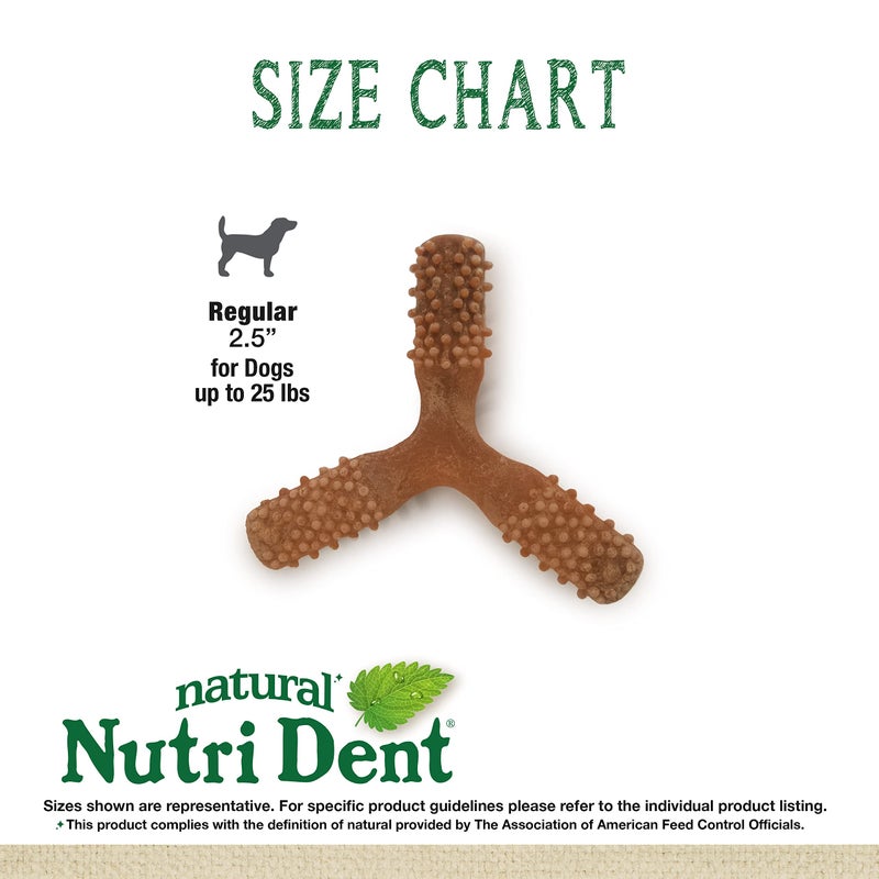 Nylabone Nutri Dent Dog Dental Chews - Natural Dog Teeth Cleaning & Breath Freshener - Dental Treats for Dogs - Filet Mignon Flavor, Small (1 Count) - Image 5