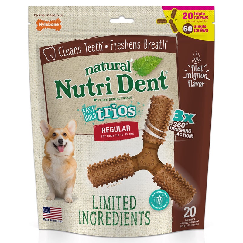 Nylabone Nutri Dent Dog Dental Chews - Natural Dog Teeth Cleaning & Breath Freshener - Dental Treats for Dogs - Filet Mignon Flavor, Small (1 Count) - Image 1