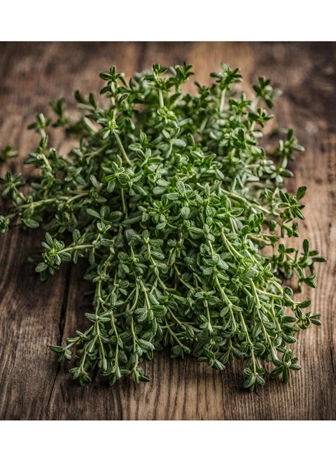 Thyme seeds Al-fajr