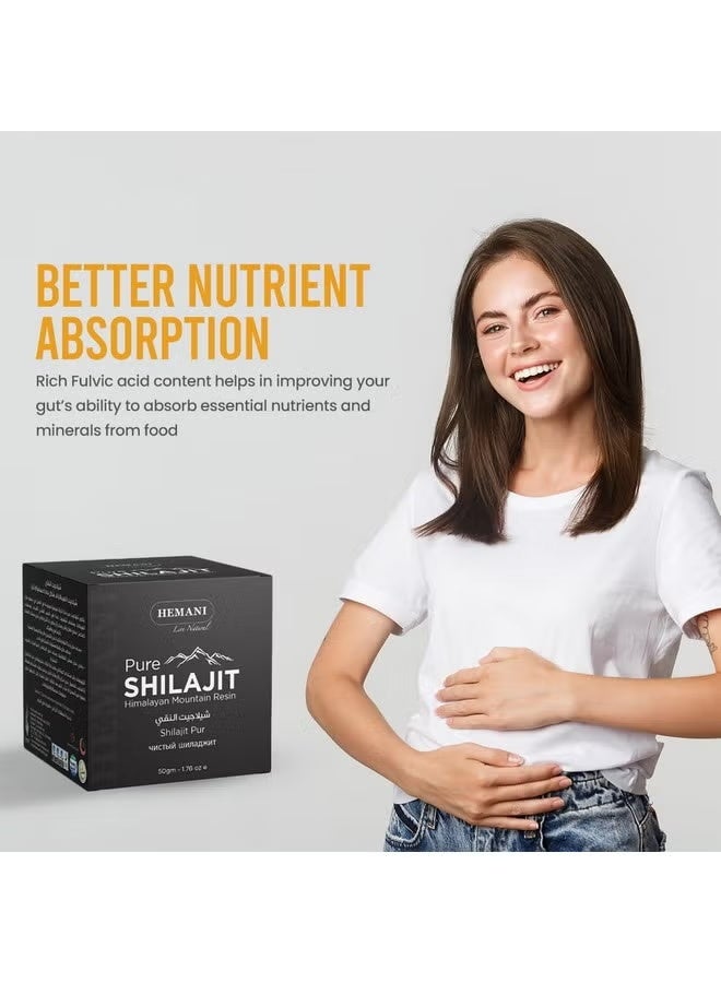 Nature صمغ شيلجيت هيماني النقي من جبال الهيمالايا 50 جرام - 100% طبيعي، جودة ممتازة من الأعشاب التكيفية - Image 3