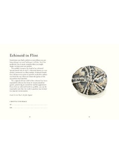 The Pebble Spotter's Guide – National Trust Edition  - Image 1