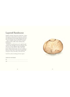 The Pebble Spotter's Guide – National Trust Edition  - Image 2