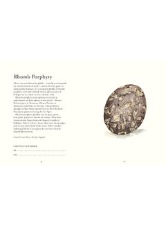 The Pebble Spotter's Guide – National Trust Edition  - Image 3