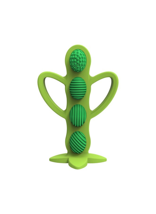 Dr. Brown's Peapod Teether + Training Toothbrush, Help Soothe Baby'S Sore Gums, Soft 100% Silicone, Bpa Free, 3M+  - Image 5