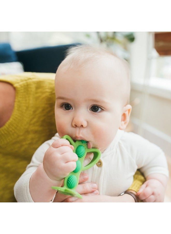 Dr. Brown's Peapod Teether + Training Toothbrush, Help Soothe Baby'S Sore Gums, Soft 100% Silicone, Bpa Free, 3M+  - Image 4