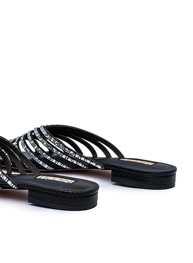 Nicoli  CLARISSA for Women | Best Price UAE