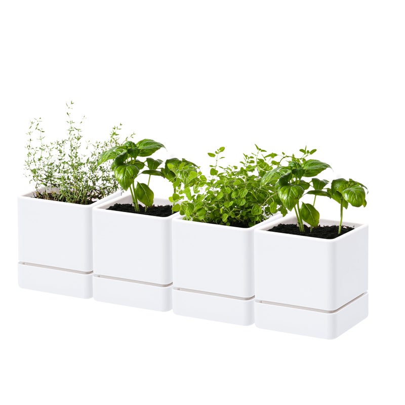 D'vine Dev 4 Inch Herb Planter Pot, Plastic Planter with Drainage Holes and Saucer, Modern Decorative Gardening Pot for Indoor Plants, Flowers, Herbs, Succulents, White, Set of 4, 76-Y-A4-1 - Image 1