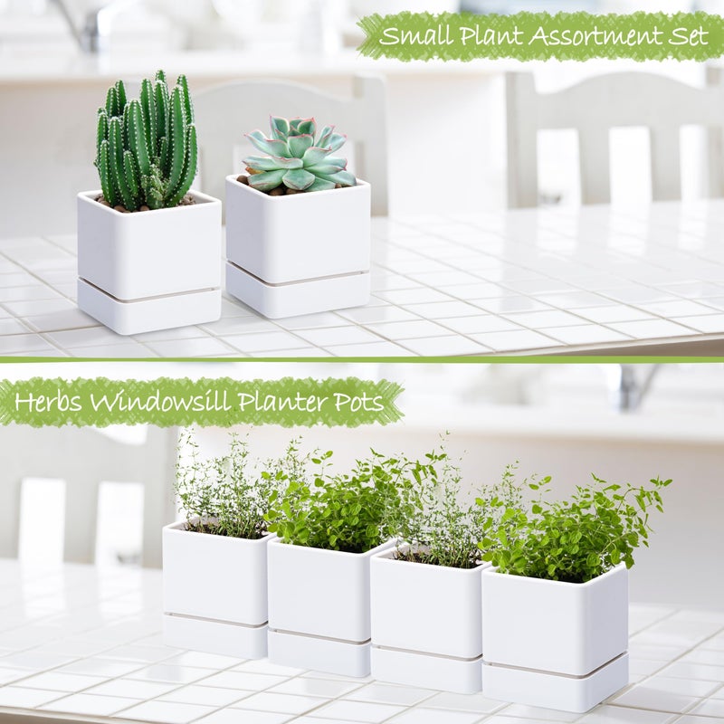 D'vine Dev 4 Inch Herb Planter Pot, Plastic Planter with Drainage Holes and Saucer, Modern Decorative Gardening Pot for Indoor Plants, Flowers, Herbs, Succulents, White, Set of 4, 76-Y-A4-1 - Image 4