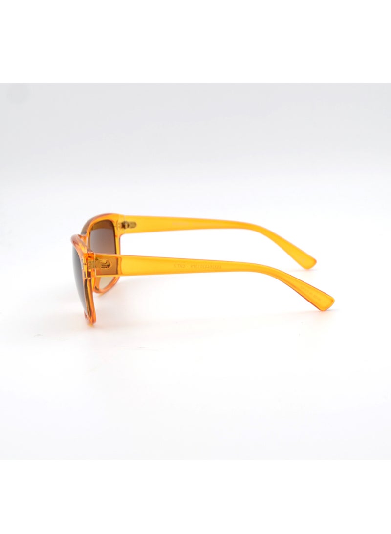 MADEYES نظارات شمسية للرجال بحماية من الأشعة فوق البنفسجية EE24P287-2 - بني - Image 3