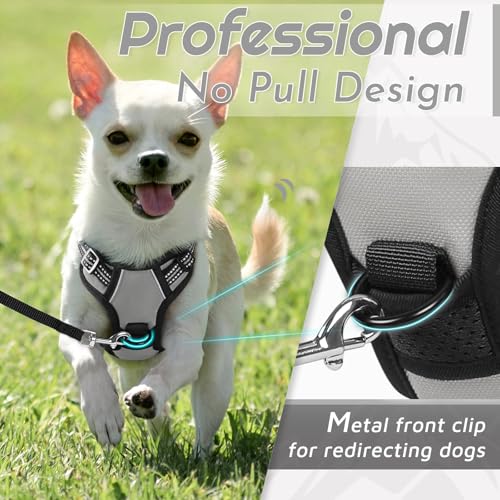Eagloo Small Dog Harness No Pull, Service Vest with Reflective Strips and Control Handle, Adjustable and Comfortable for Walking, No Choke Pet Harness with 2 Metal Rings, Grey, XS - Image 3