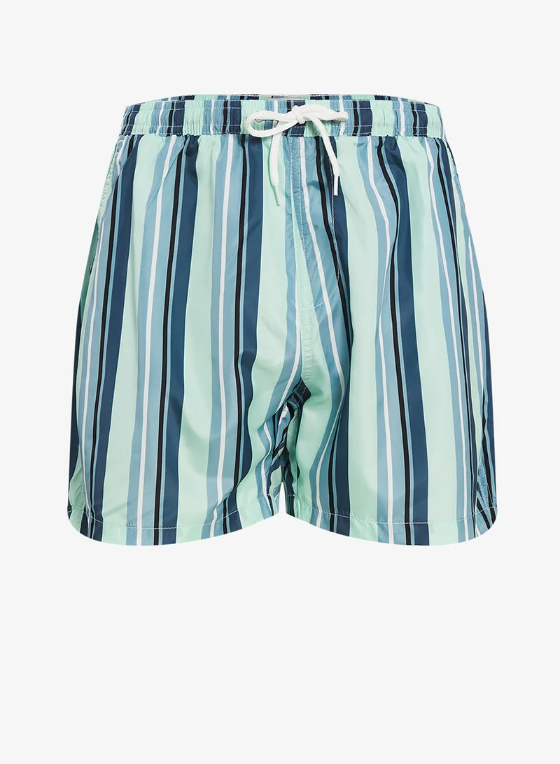 Bravesoul Mens 50D Poly Stripe Printed Swimshort